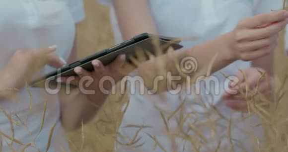 从事农业技术领域工作的科学家在麦秆上靠近女性手触摸平板电脑视频的预览图