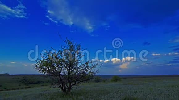 夏日风景4K视频的预览图