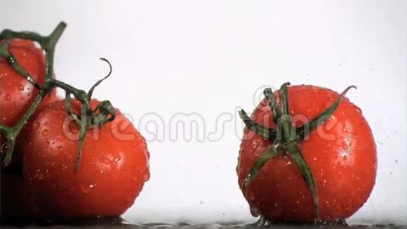 番茄以超慢的速度聚集在水滴中浇水视频的预览图