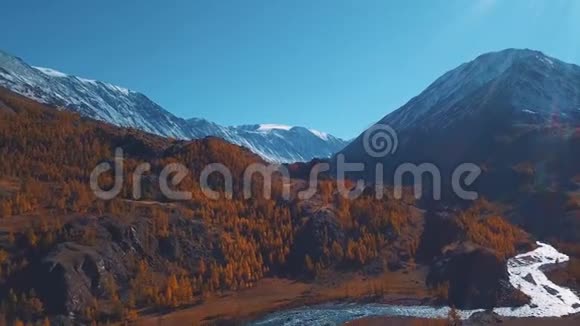 空中飞行飞越高山秋河水为绿松石落叶松为黄色乘坐美丽的航班视频的预览图