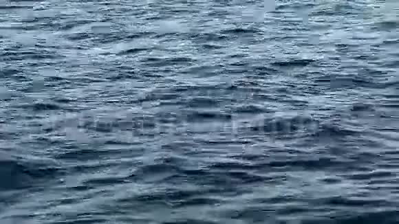 海浪相机运动视频的预览图
