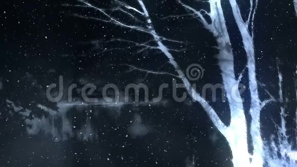 黑暗的冬夜背景循环视频的预览图