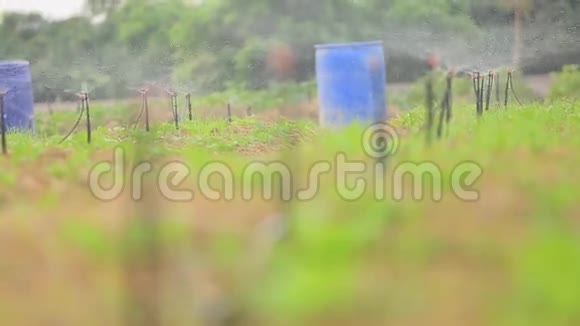 园林灌溉喷头浇水草坪视频的预览图