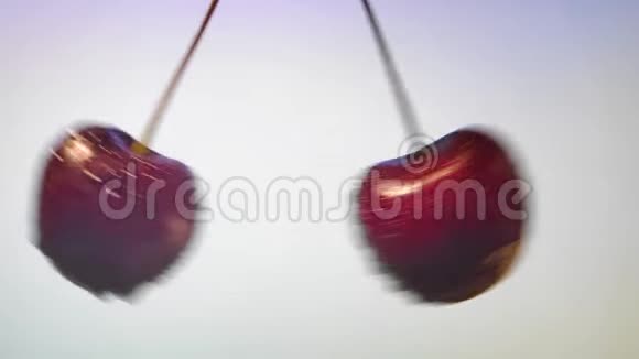 酸辣的黑樱桃洒在粉红色的背景上慢动作视频的预览图