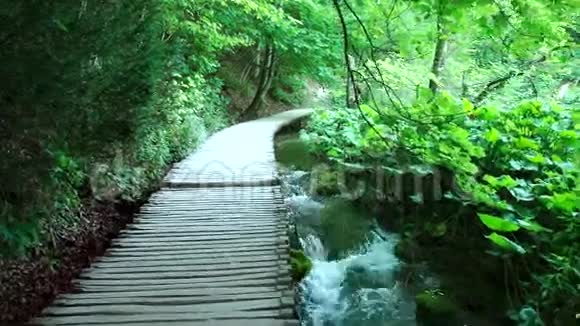 穿过靠近湖边的山林从Plitvice湖泊中观看视频的预览图