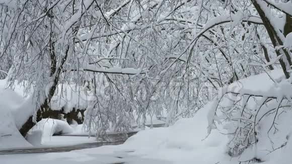 美丽的冬季景观有雪覆盖的树木和冰冻的森林河视频的预览图