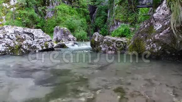 从洞穴入口出来的溪流视频的预览图