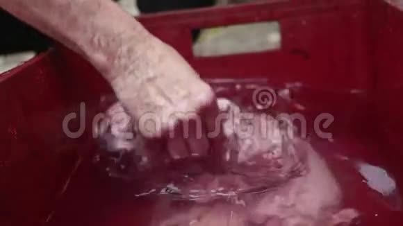 老屠夫在水中慢动作洗肉视频的预览图