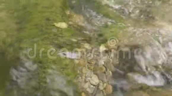 水溅在河里河水里的水充满了气泡水泡浮在河面特写镜头上视频的预览图