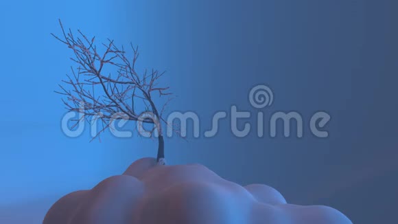 雪山上孤独的圣诞树和日出的书房高清1080无缝环视频的预览图