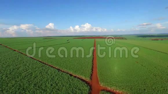 巴西甘蔗种植空中录像视频的预览图