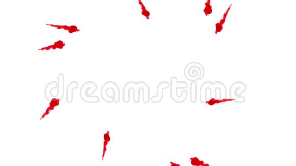 红墨水在白色背景上溶解在水中用Luma哑光3D渲染V26环视频的预览图