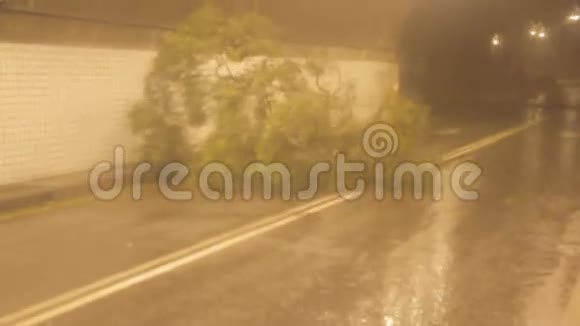 台风期间隧道内刮风的树视频的预览图