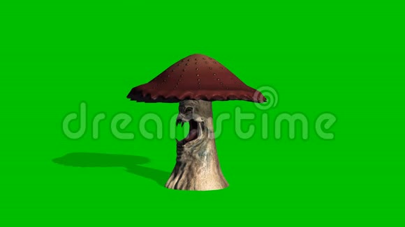 愤怒的棕色蘑菇环顾四周阴影1绿色屏幕视频的预览图