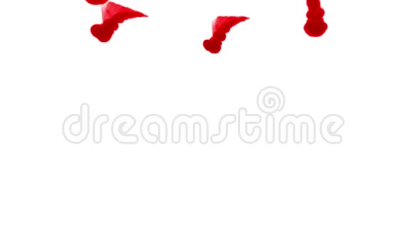 红墨水在白色背景上溶解在水中用Luma哑光3D渲染V24很多流视频的预览图