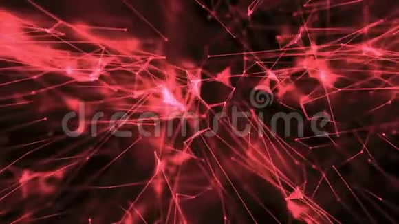 带有点的神经丛三角形的细胞扩大形成红色视频的预览图