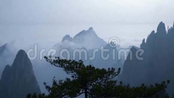 云和风中的松黄山视频的预览图