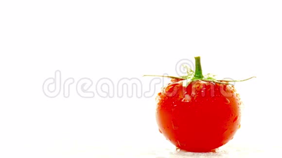 白色背景下的番茄红视频的预览图