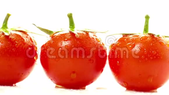 白色背景下的番茄红视频的预览图