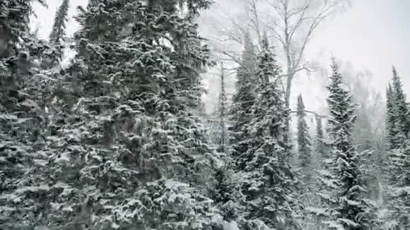 空气冬季森林冬天在山上视频的预览图