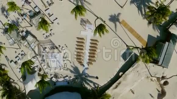 低空飞越海洋在晴空万里的背景下前景树木棕榈树靠近水视频的预览图