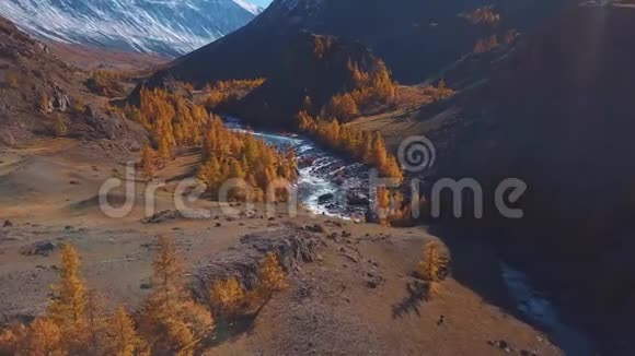 空中飞行飞越高山秋河水为绿松石落叶松为黄色乘坐美丽的航班视频的预览图