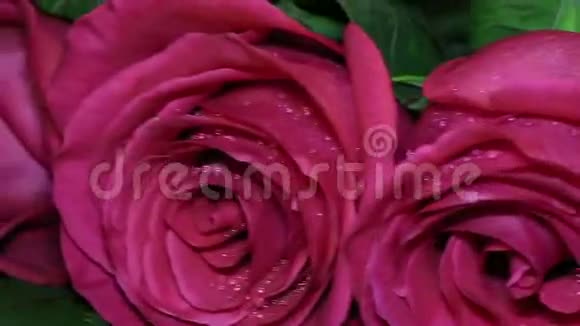 带粉色玫瑰的浪漫礼品金戒指视频的预览图