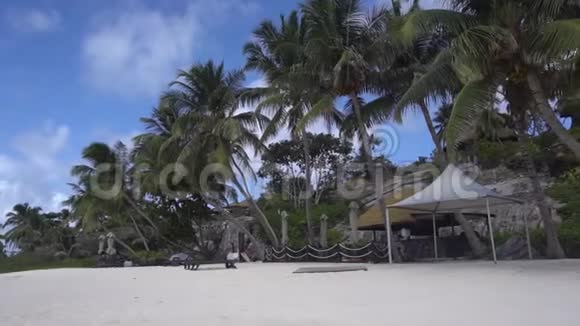 天空或大海上的棕榈树视频的预览图