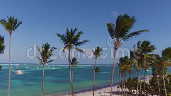 低空飞越海洋在晴空万里的背景下前景树木棕榈树靠近水视频的预览图