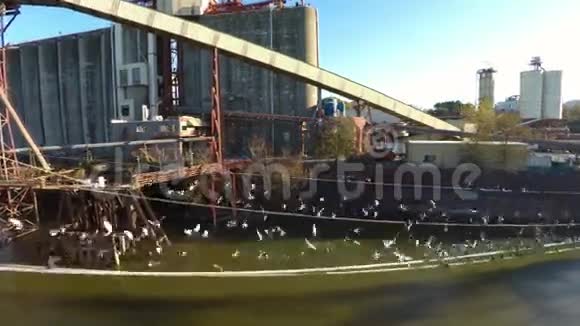 波特兰空中鸟类和河船视频的预览图