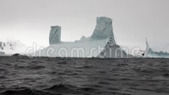 南极洲海洋中巨大独特的冰川冰山视频的预览图