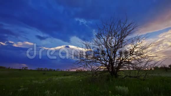 夏日风景4K视频的预览图