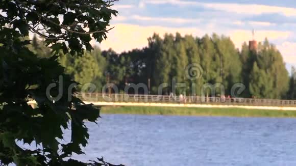 人们走在湖边的木桥上树叶移动视频的预览图