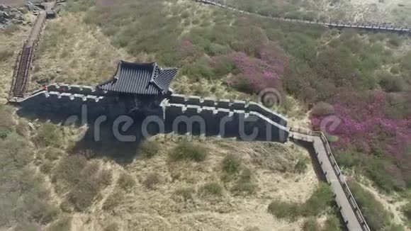 韩国山清河王梅山Cheoljuk皇家杜鹃花节亚洲视频的预览图