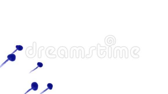 蓝墨水在白色背景上溶解在水中用Luma哑光计算机仿真的三维渲染五条墨流视频的预览图