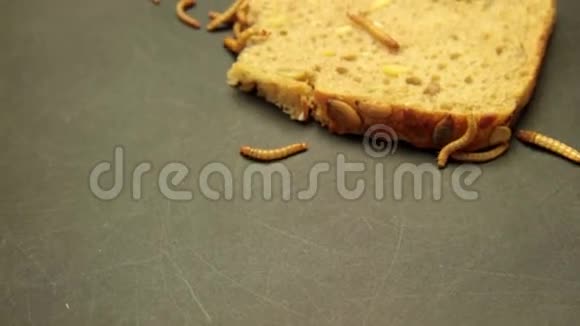 虫子吃面包的背景视频的预览图
