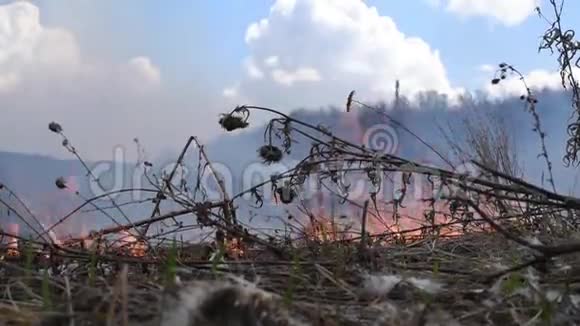 重火和烟雾对环境有害视频的预览图