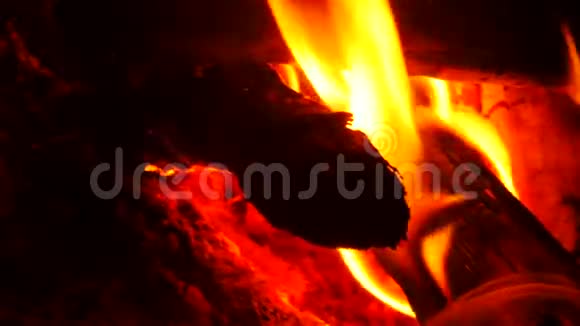 篝火中明亮燃烧的木头在火中燃烧木头和煤视频的预览图