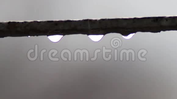 滴在雨中的水滴视频的预览图