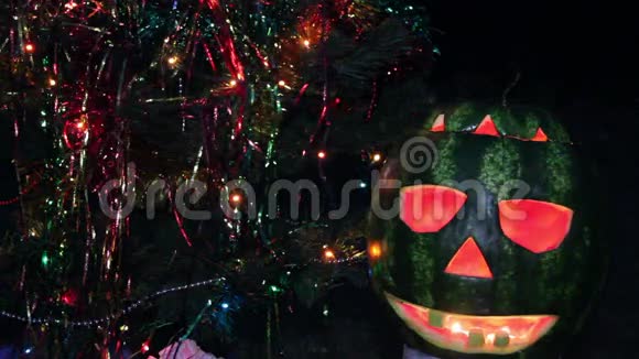 在圣诞树下万圣节西瓜视频的预览图