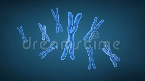 染色体x和DNA链视频的预览图