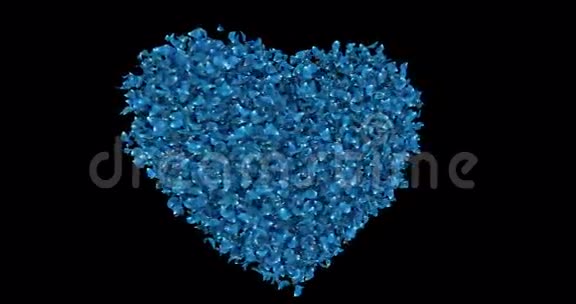 旋转蓝色玫瑰花花瓣在心形阿尔法垫循环4k视频的预览图