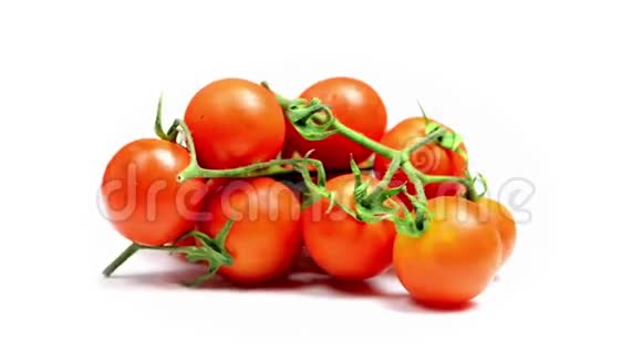 白色背景上的小番茄视频的预览图