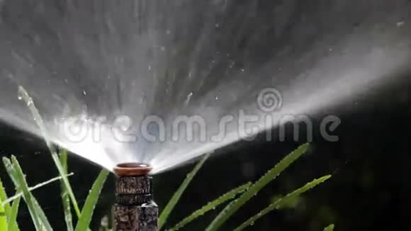 花园灌溉泡沫浇水草坪拍摄POV03视频的预览图