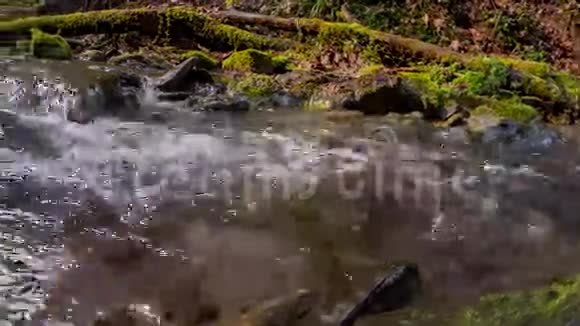 穆尔哈德峡谷的河流视频的预览图