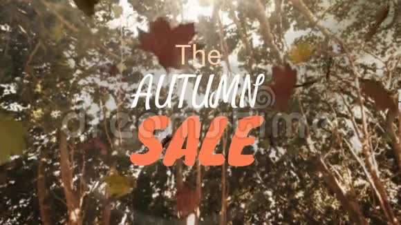 数字生成的秋季销售视频视频的预览图