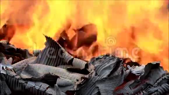 燃烧纸板火焰和灰烬视频的预览图