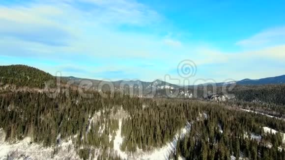 白雪覆盖的森林视频的预览图