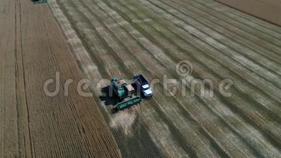 用农机收割麦田无人机的空中摄影视频的预览图