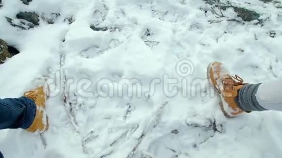 一对夫妇在雪地里穿过冬天的风景视频的预览图